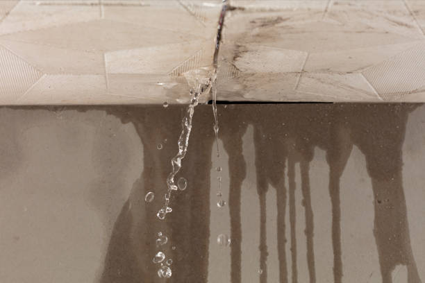 Professional Water Damage Restoration technician working in Courtland, VA